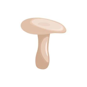 Milk mushroom on a white background. Vector illustration. Stock Illustration