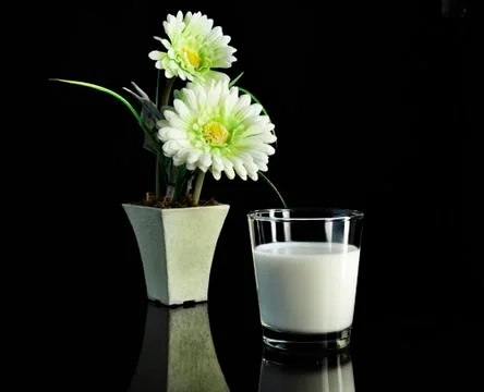 Milk Stock Photos