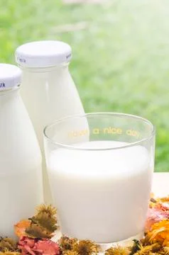 Milk Foto stock