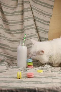 Milk Stock Photos