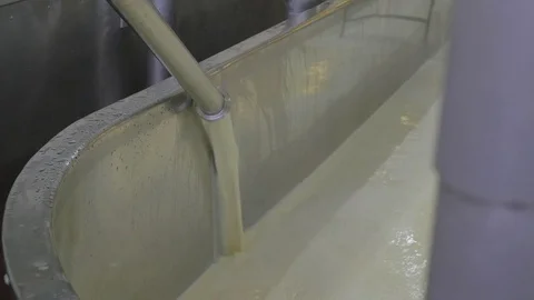 Milk pouring into cheese making vat for processing at factory Stock Footage 83495666