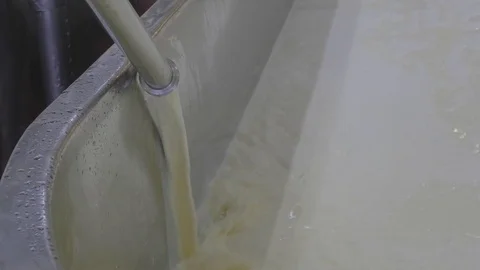 Milk pouring into cheese making vat for processing Stock Footage 83497054