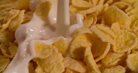 Milk is pouring in Corn Flakes Extremely Closeup Macro shot Stock Footage 108813504