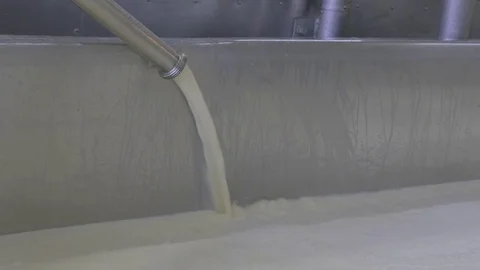 Milk pouring into a large cheese making vat for processing at factory Stock Footage 83495671