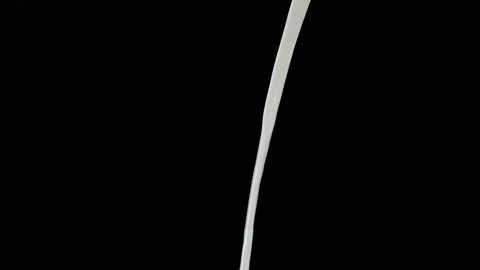 Milk pouring stream isolated on black studio background Video stock 328802900