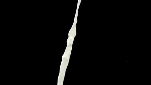 Milk pouring stream isolated on black background Video stock 328803013