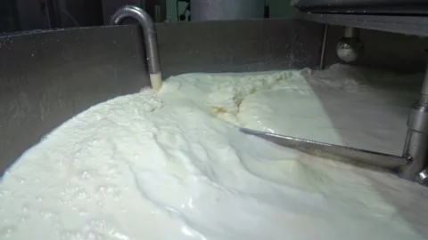 Milk Processing Stock Footage 159411169