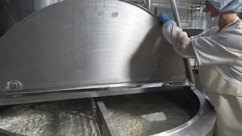 Milk Production Plant Worker Opens Lid Of Tank Filled With Cottage Cheese Stock Footage 197348341