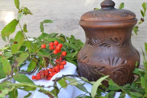 Milk in rustic ceramic jug with rowan berries on white vintage napkin. Green Stock Photos