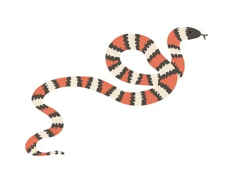 Milk snake, flat vector illustration isolated on white background. Stock Illustration