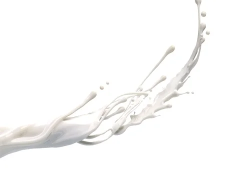 Milk spash on white background Stock Footage 78812811