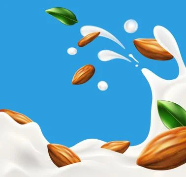 Milk splash with almond beans vector illustration Stock Illustration