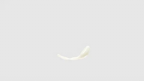 Milk Splash, With Alpha Matte Stock Footage 160486243