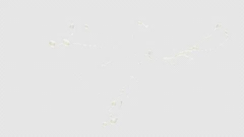 Milk Splash, With Alpha Matte Stock Footage 308476551