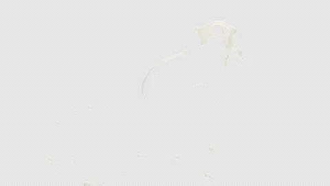 Milk Splash, With Alpha Matte Stock Footage 312635544