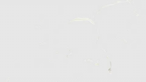 Milk Splash, With Alpha Matte Stock Footage 321238872