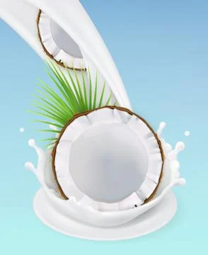 Milk splash and coconut. 3d vector object. Natural dairy products Stock Illustration