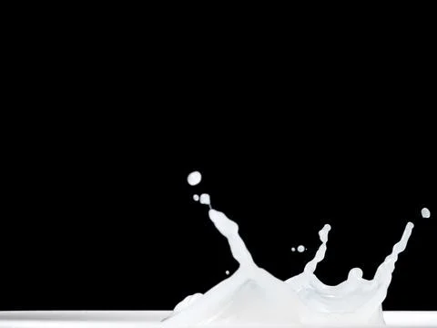 Milk Splash on black background. Stock Photos