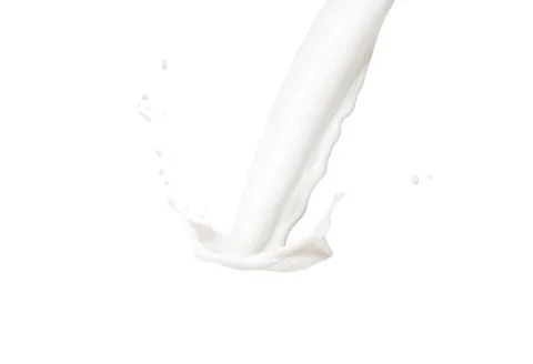 Milk splash isolated Stock Photos