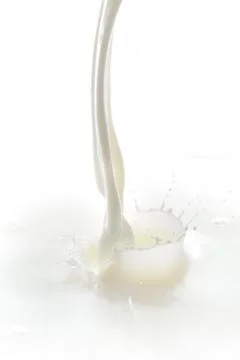 Milk splash Stock Photos