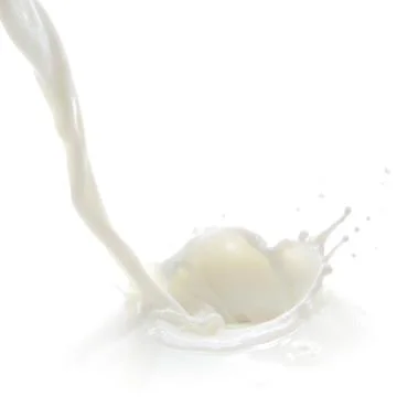 Milk splash Stock Photos