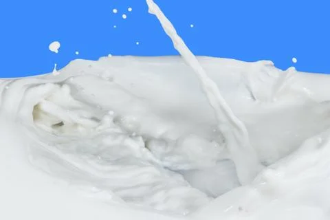Milk splash Stock Photos