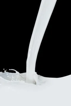 Milk splash Stock Photos