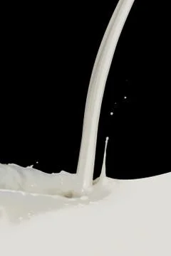 Milk splash Stock Photos