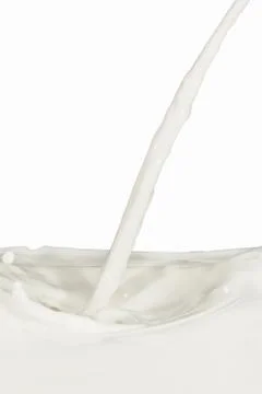 Milk splash Stock Photos