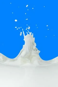 Milk splash Stock Photos