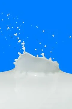 Milk splash Stock Photos