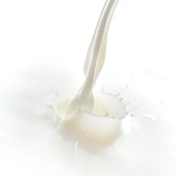 Milk splash Foto stock