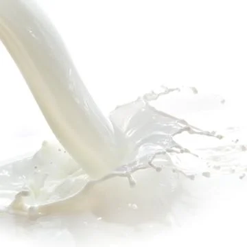 Milk splash Stock Photos