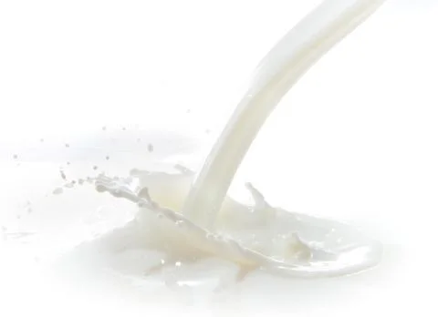 Milk splash Stock Photos