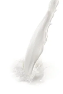 Milk splash Stock Photos