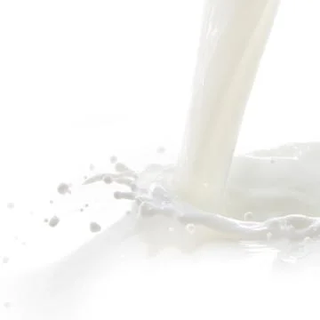 Milk splash Stock Photos