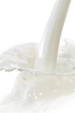 Milk splash Stock Photos