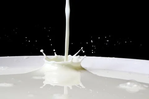 Milk splash Stock Photos