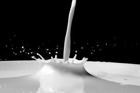 Milk splash Stock Photos