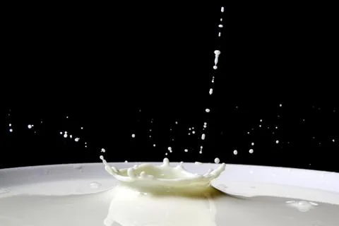 Milk splash Stock Photos