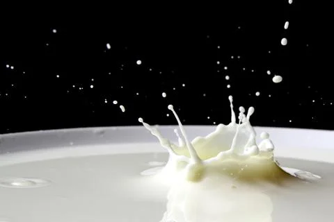 Milk splash Stock Photos