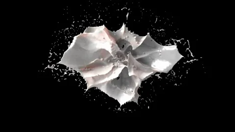 Milk splash, Pouring, splashing, slow motion, purity Stock Footage 314983836