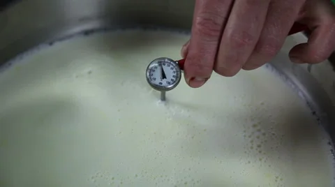 Milk temperature white cheese yellow cheese parsley food decoration yoghurt s 動画素材 1069640