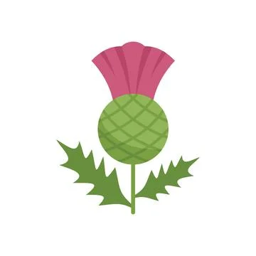 Milk thistle icon flat vector. Silymarin plant Stock Illustration