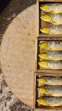 Milkfish (bandeng) cooked using a pressure cooking method Stock Photos