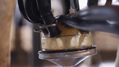 Milking of a cow Video stock 71063844