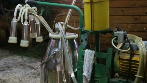Milking machine in cowshed closeup Video stock 125460722