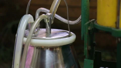 Milking machine in cowshed closeup Video stock 125460757