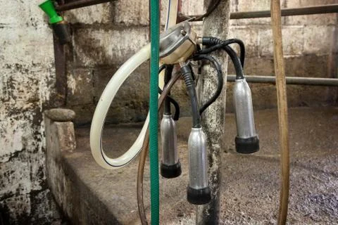 Milking Machine Foto stock