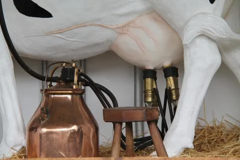 Milking Machine. Foto stock